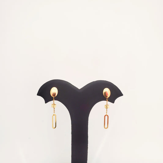 Gold Earrings